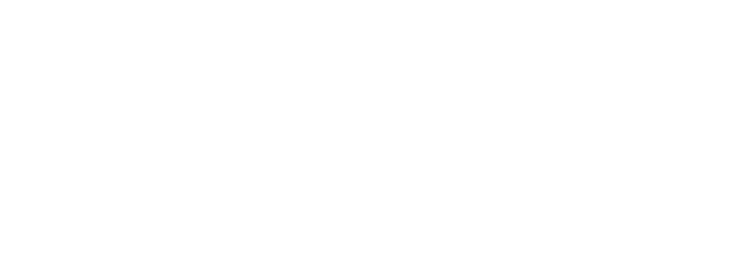 Chronica logo
