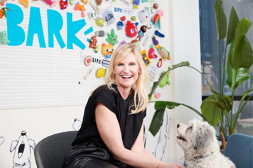 Cindy Gustafson seated in the BARK office beside a small white dog