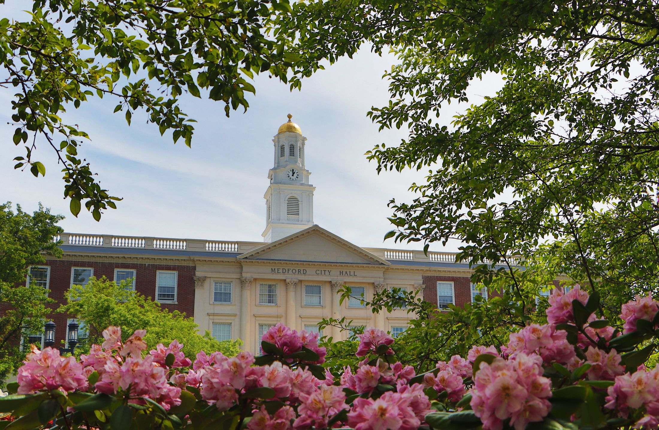 Medford City Hall framed by leafy trees and pink flowers