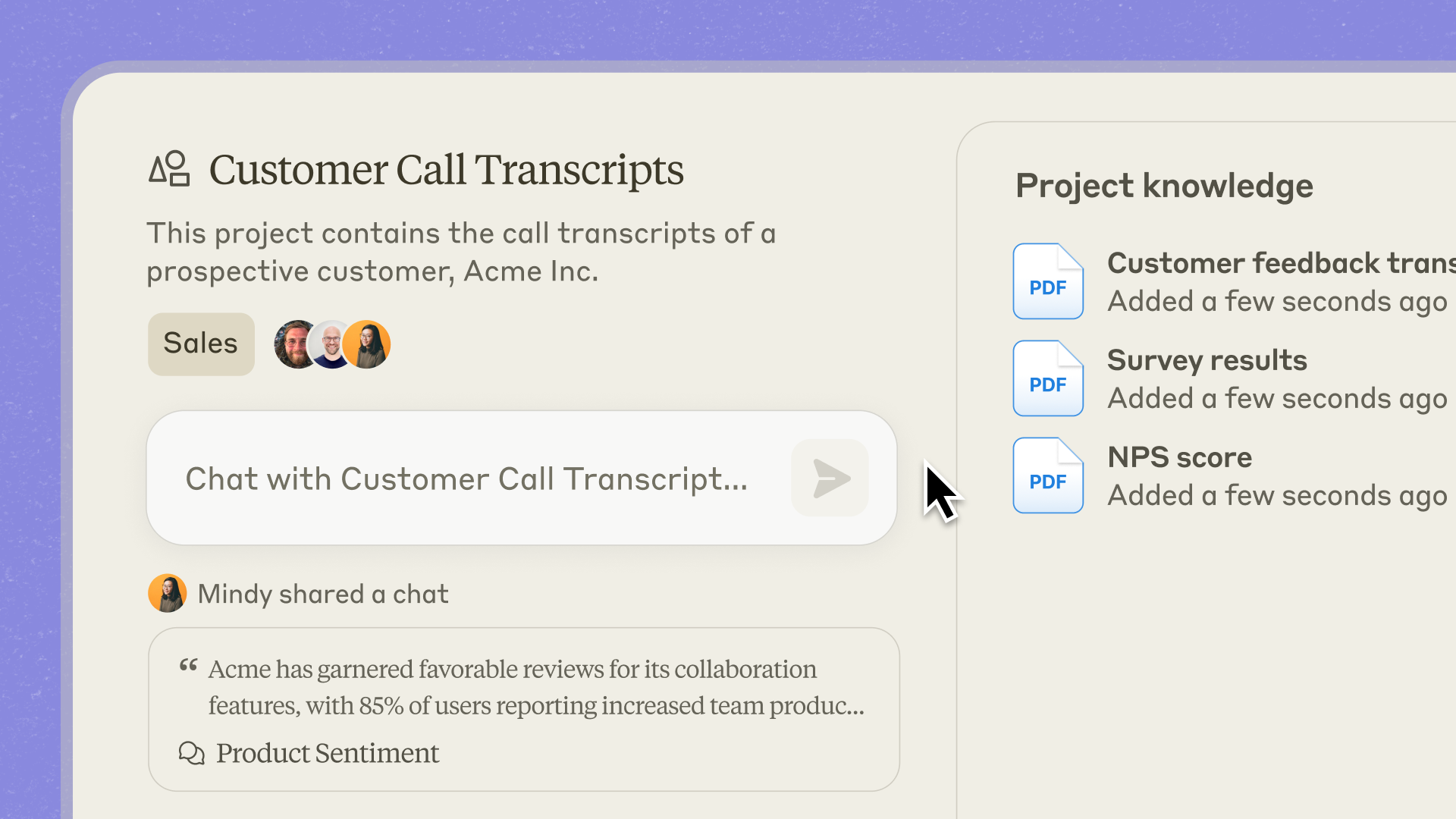 Claude Projects interface showing uploaded customer-call transcripts as project knowledge