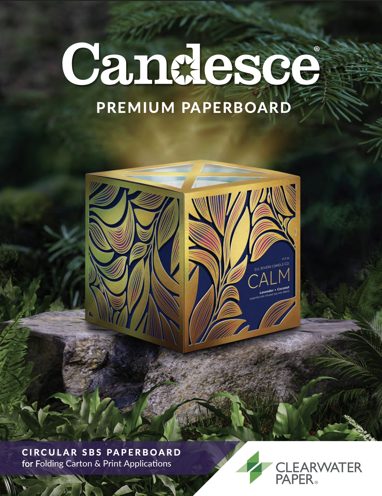 Candesce product-guide artwork showing a decorative gold and purple paperboard carton among evergreen branches