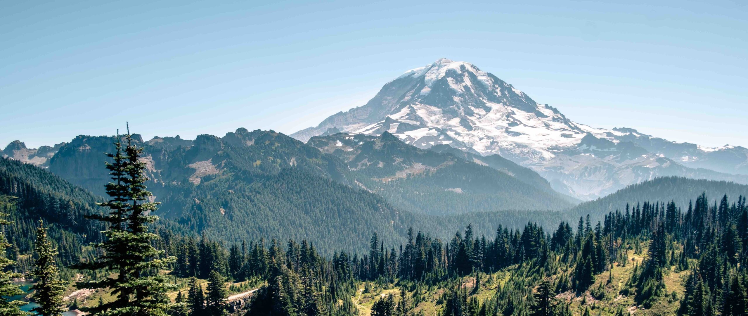 Mount Rainier above an evergreen forest