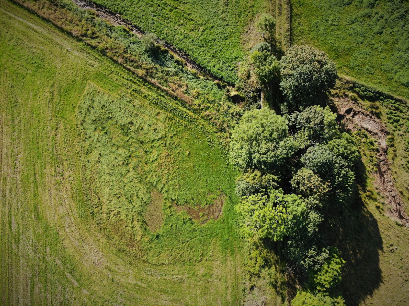 One Year of War Money Could Bring Half the Planet Back to Life