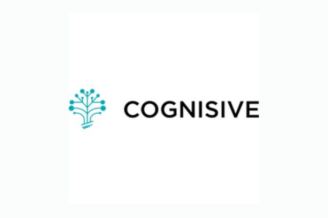Cognisive