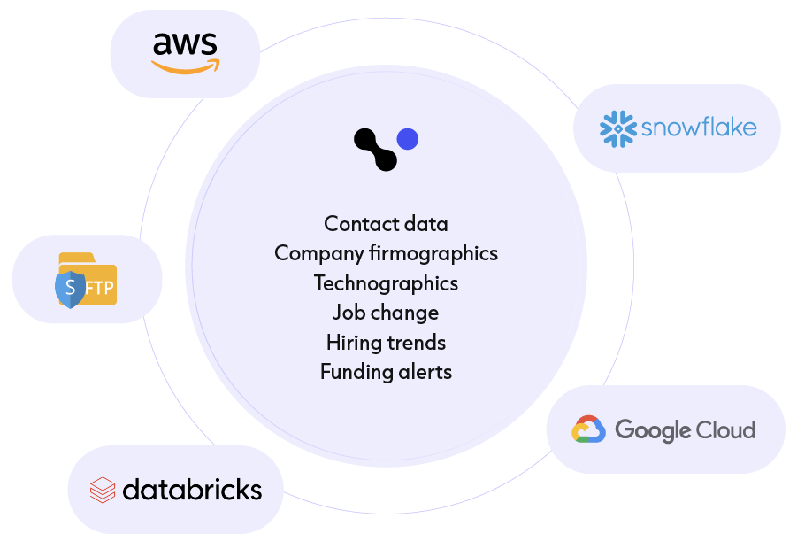 Cognism Data-as-a-Service workflow interface