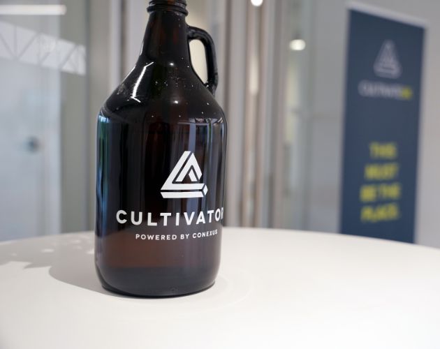 People working together inside the Cultivator startup incubator