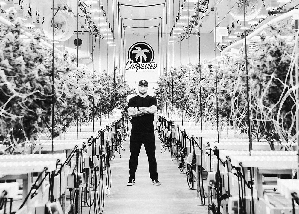 A person stands between rows of cannabis plants in a Connected indoor cultivation room