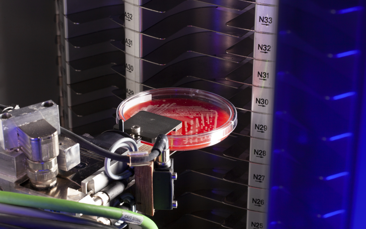 A robotic mechanism moving a streaked culture plate inside COPAN WASPLab