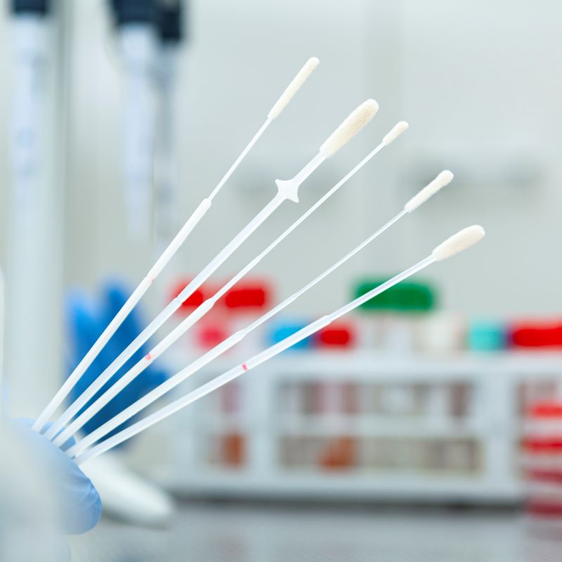 A gloved hand holding several COPAN flocked swabs with different tip shapes