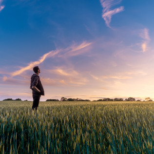 A person standing in a green field at sunset