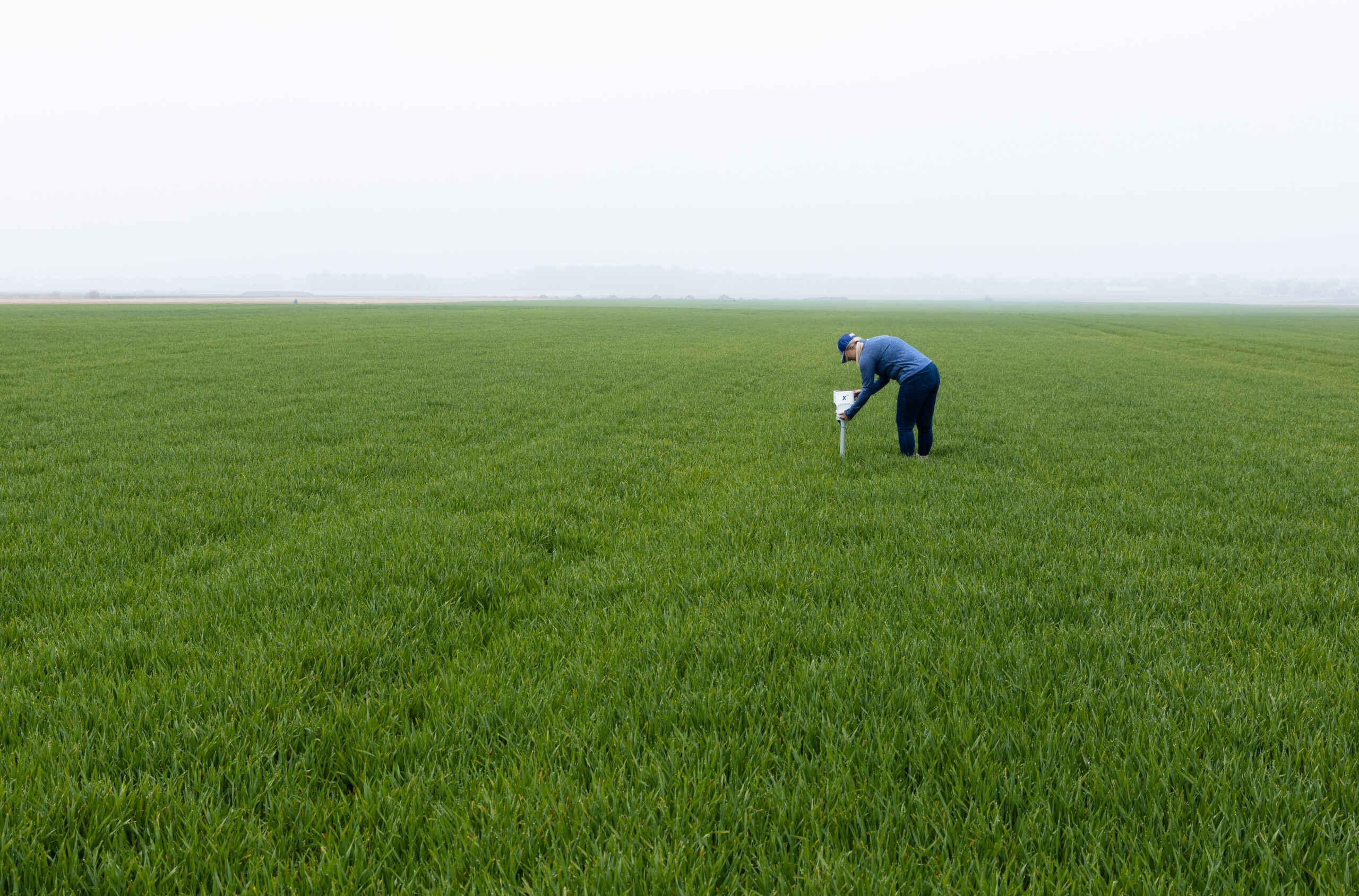 A person installs or checks a CropX soil sensor in a wide green field