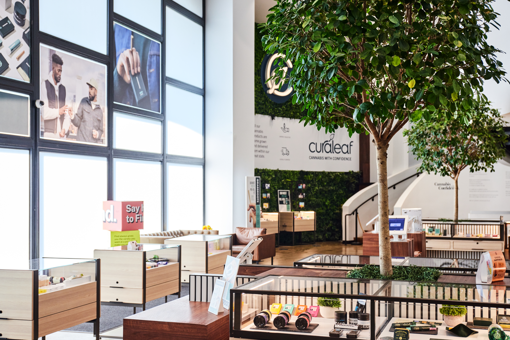 Trees, pale wood counters and glass display cases inside Curaleaf’s Skokie dispensary