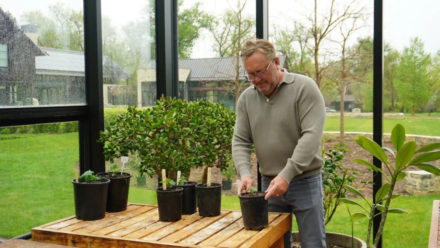 Dan Caruso tending potted plants in his greenhouse in Boulder