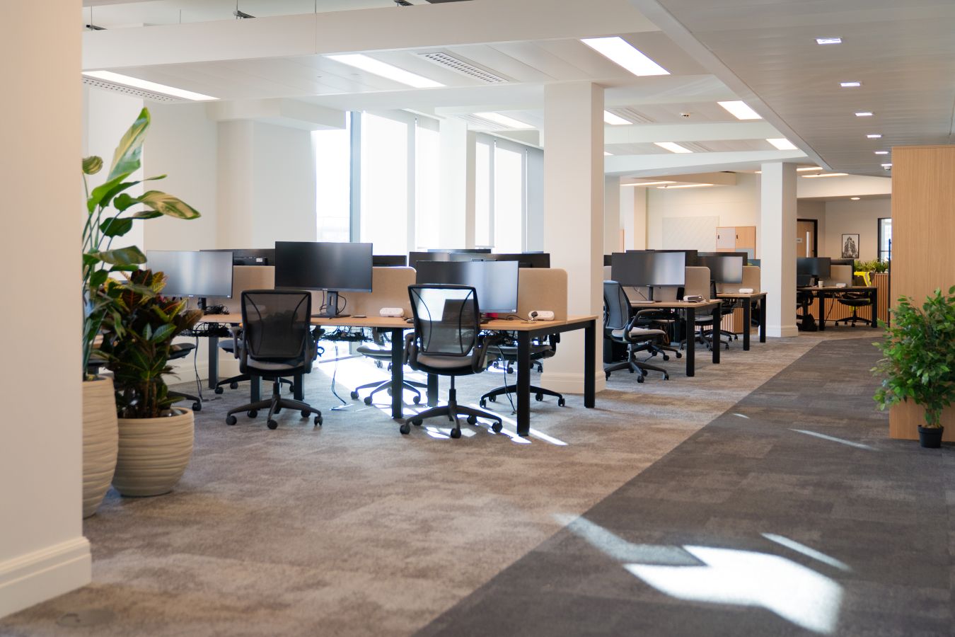 Desks, monitors and plants in CMap's Manchester office at Arkwright House