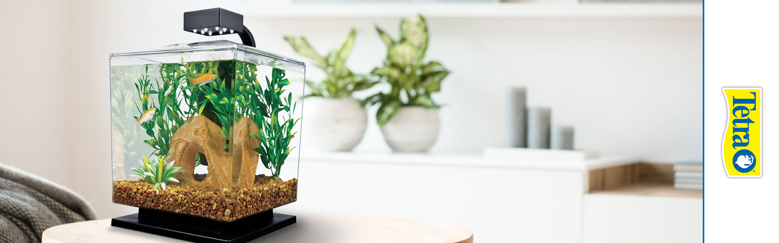 Tetra aquarium lifestyle photograph from Spectrum Brands
