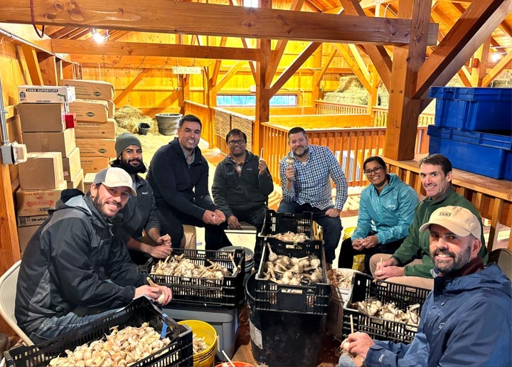 Definitive Healthcare employees volunteering together beside crates of produce