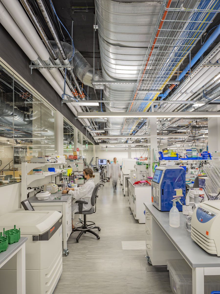 Scientists working among laboratory benches and equipment at Dewpoint’s Boston laboratory
