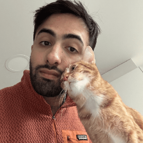Dilawar Mahmood
