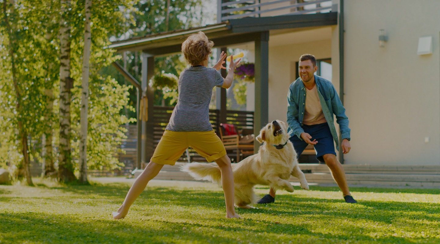 DogWatch SmartFence system components with a dog outdoors