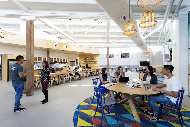 Employees at communal tables in Domain’s Sydney office in 2016
