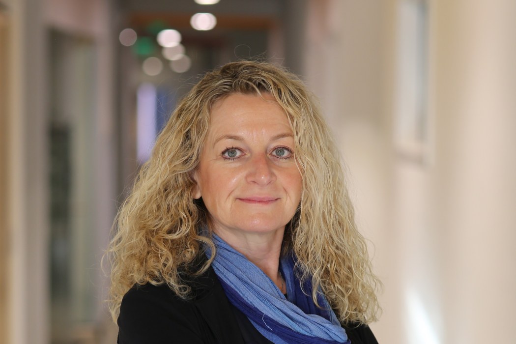 Dominique Verhelle