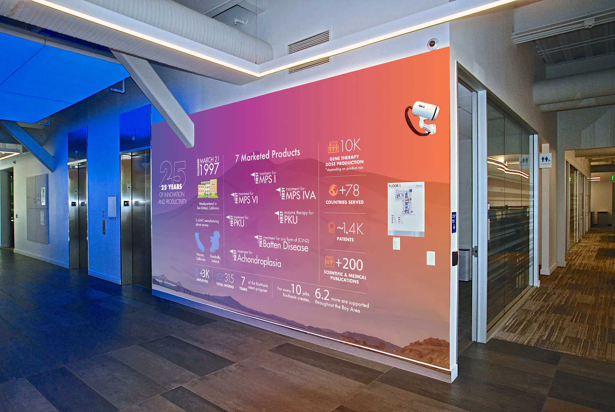 BioMarin history and milestone graphics covering a colorful wall beside campus elevators