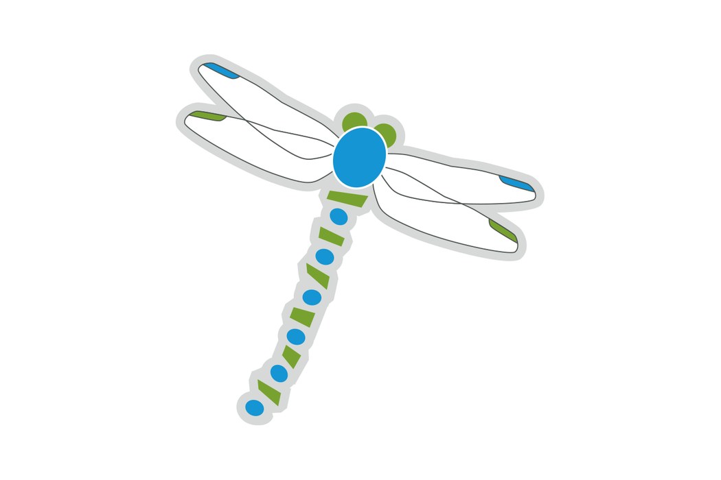 Dragonfly Design Group