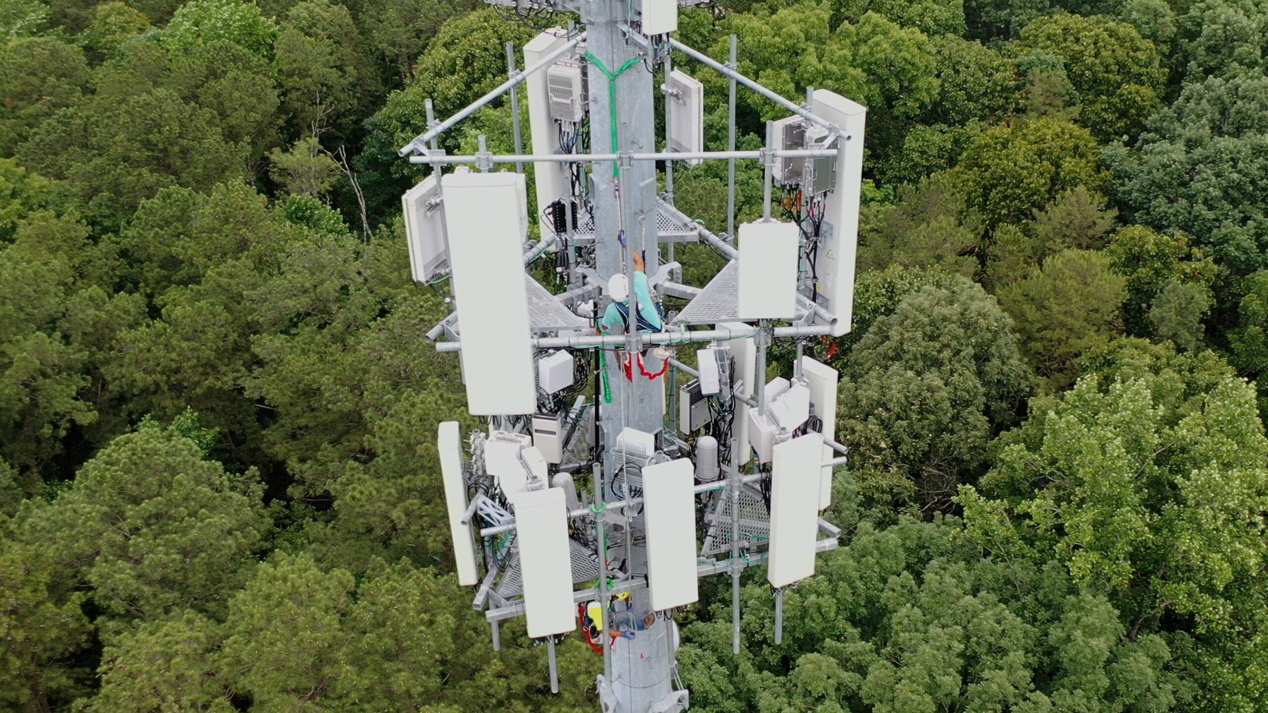 A tower technician working among antennas on a cell tower above green trees