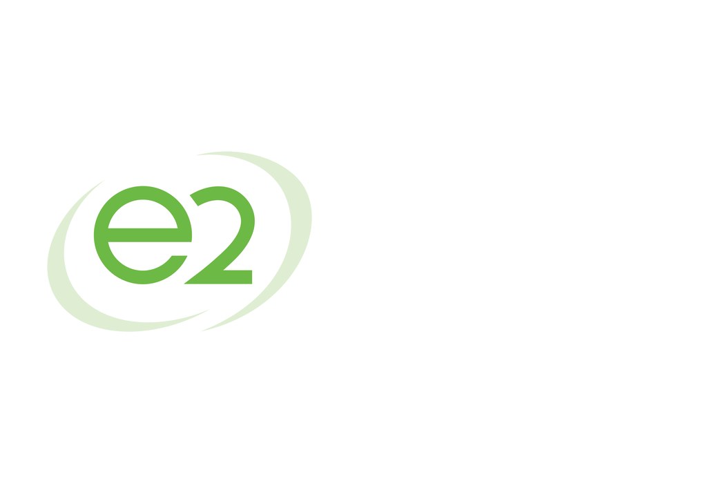 E2 - Endovascular Engineering