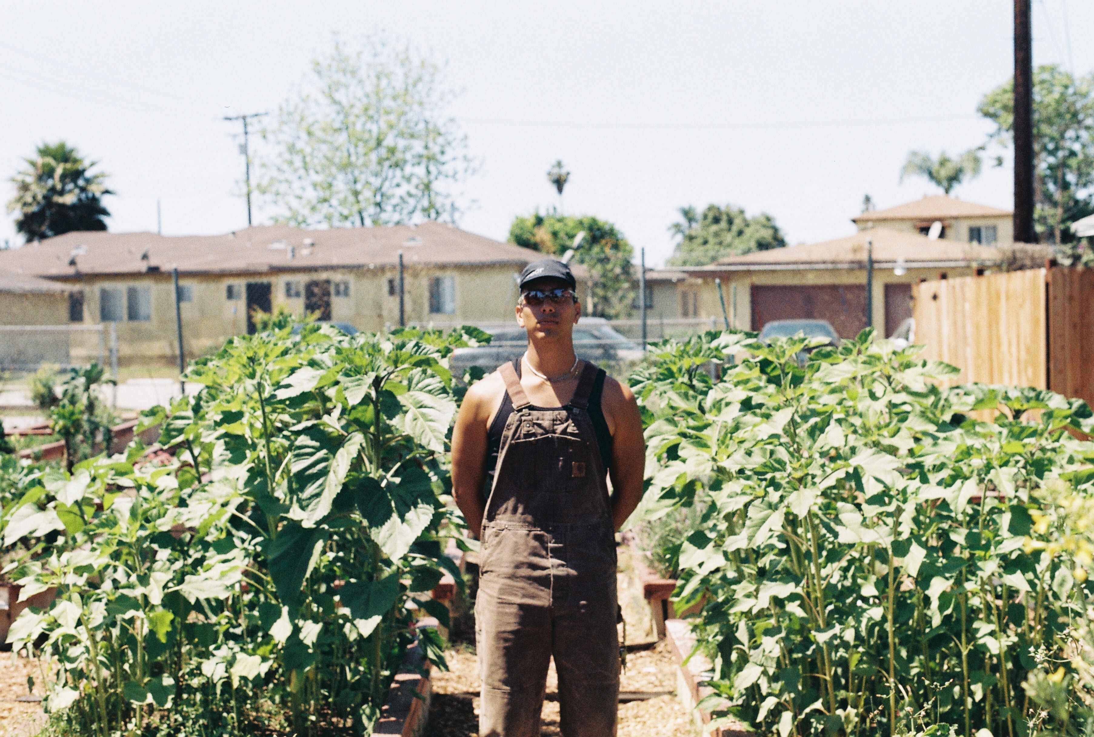 Jonathan Fajardo standing among tall plants at Compton Community Garden