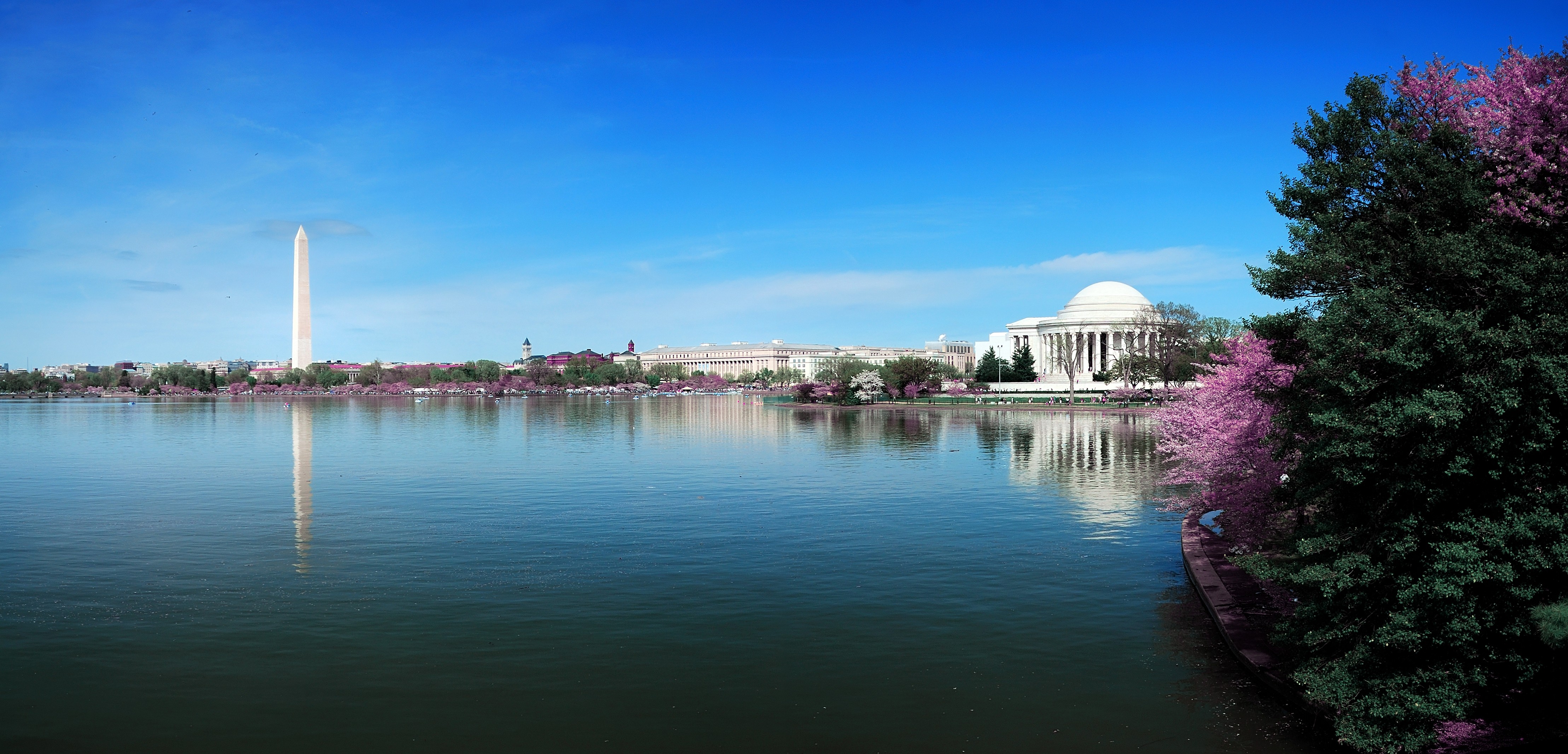 Washington Monument and Jefferson Memorial across the Tidal Basin in spring