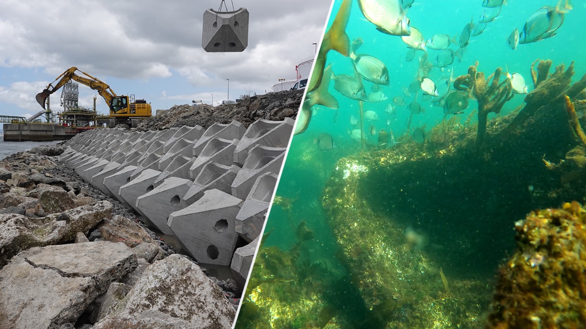 ECOncrete coastal armor units during installation beside a marine habitat after colonization