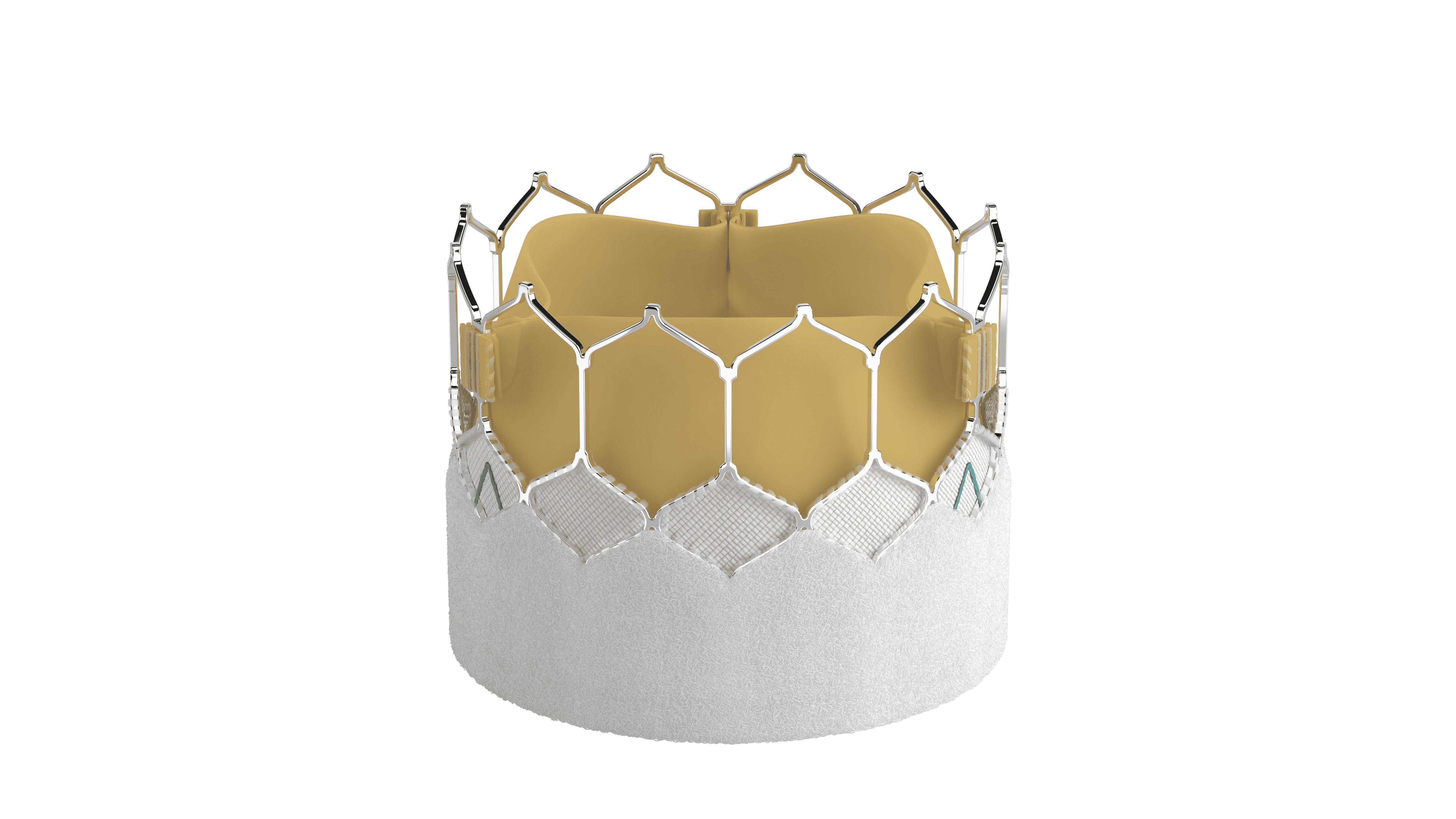 SAPIEN 3 Ultra RESILIA tissue valve surrounded by its metal frame