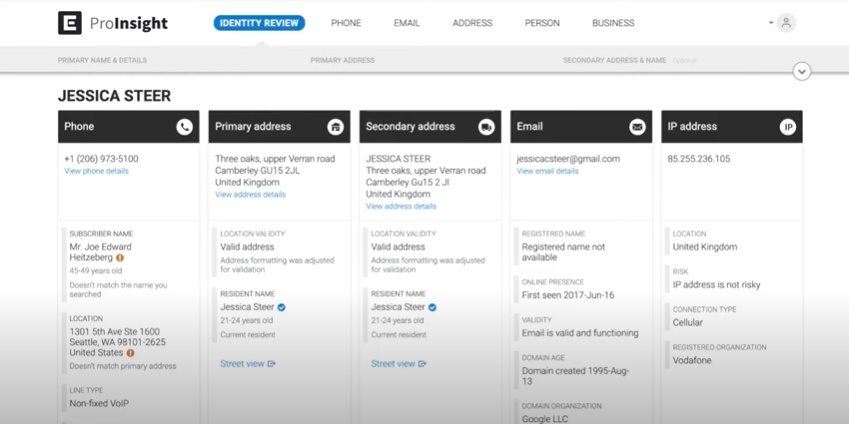 Historical Pro Insight product demonstration showing identity attributes arranged in columns