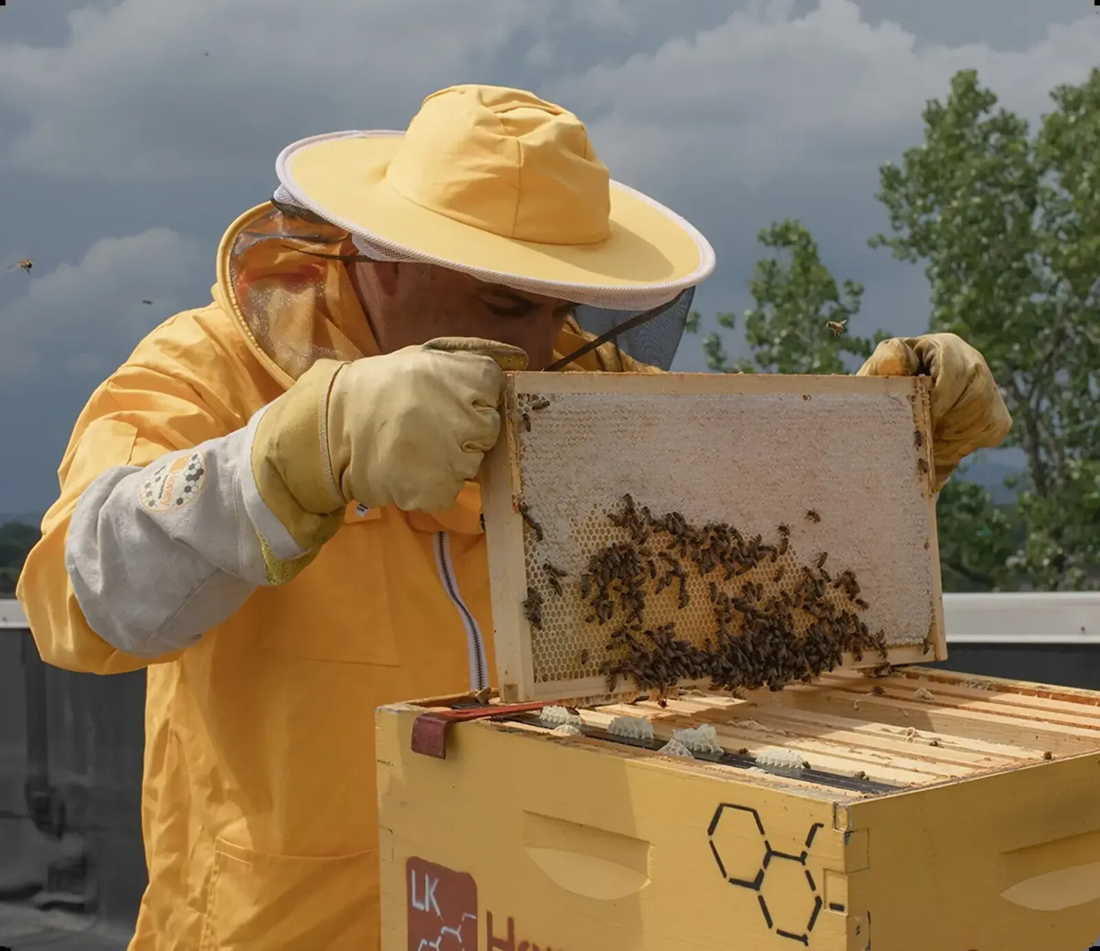 A beekeeper tends ELLKAY honeybee hives in New Jersey
