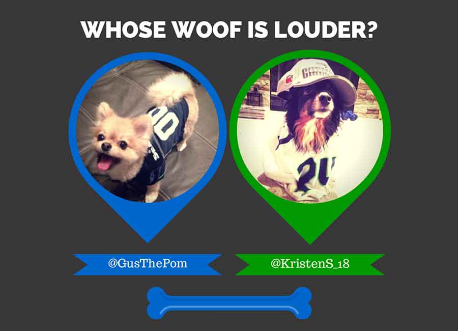Two dogs dressed as rival football fans in a social-media contest created for a credit union