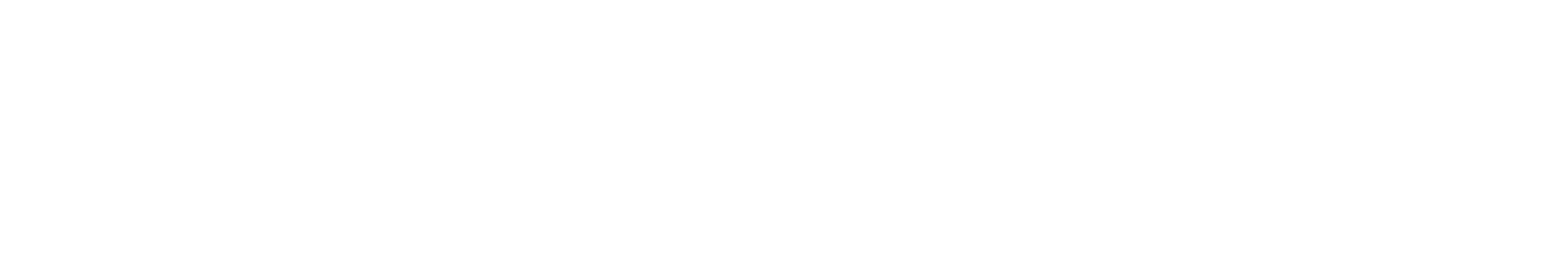 Euler Motors logo