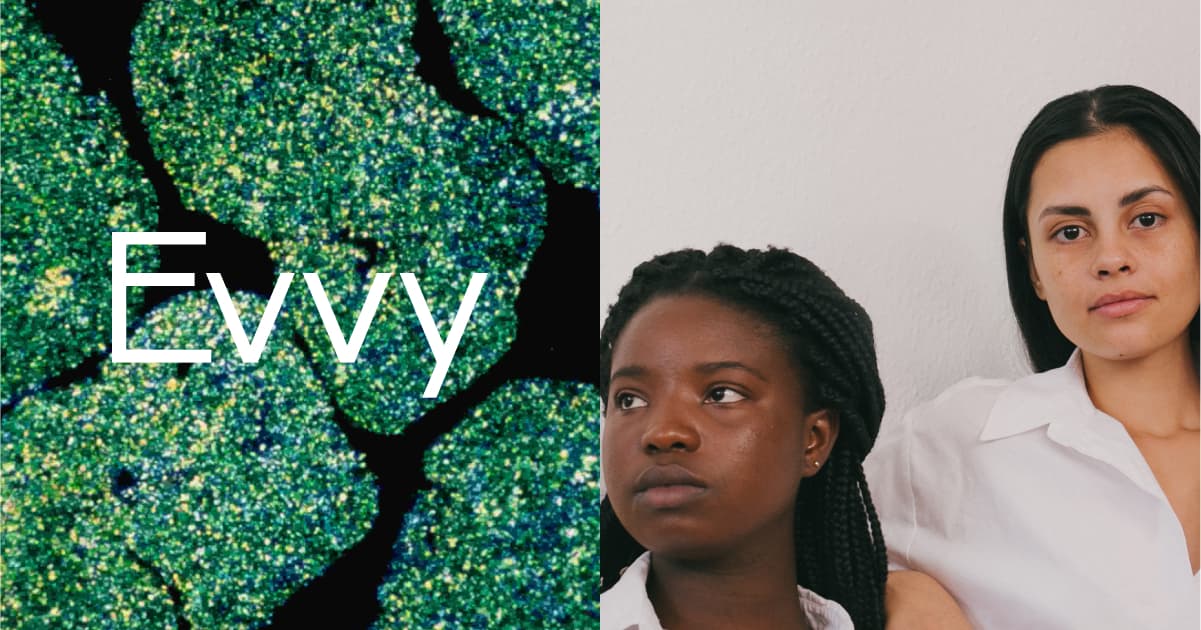 Evvy brand preview