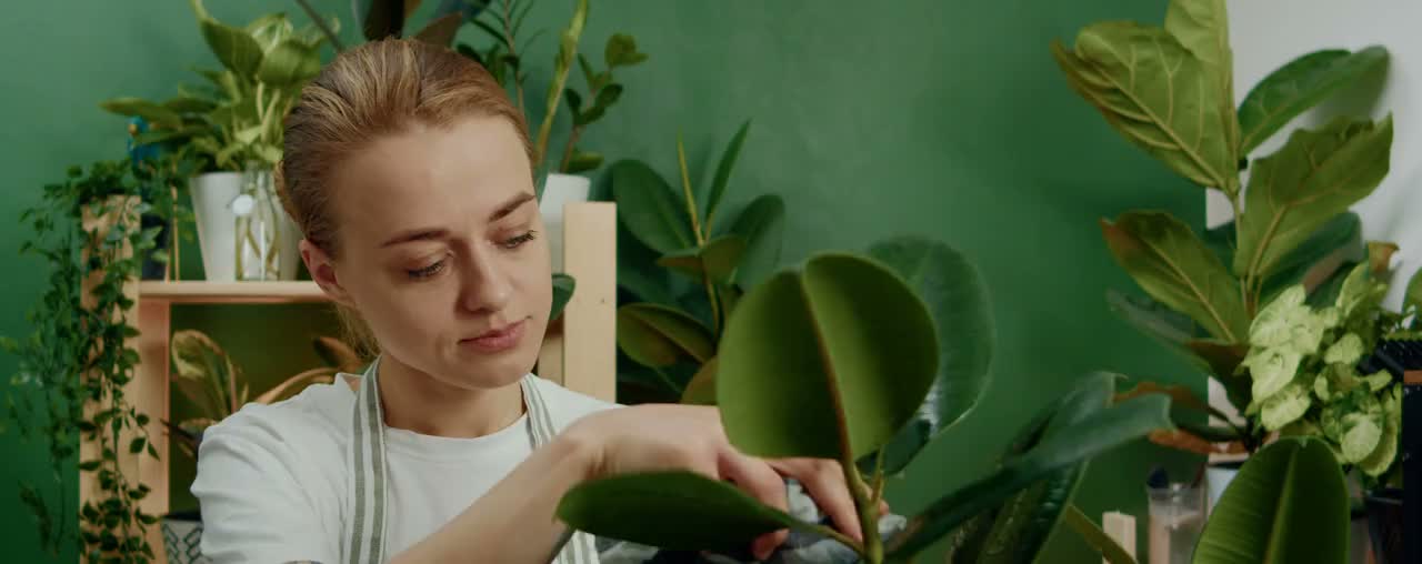 Faraday's abstract brand animation still showing connected color and light