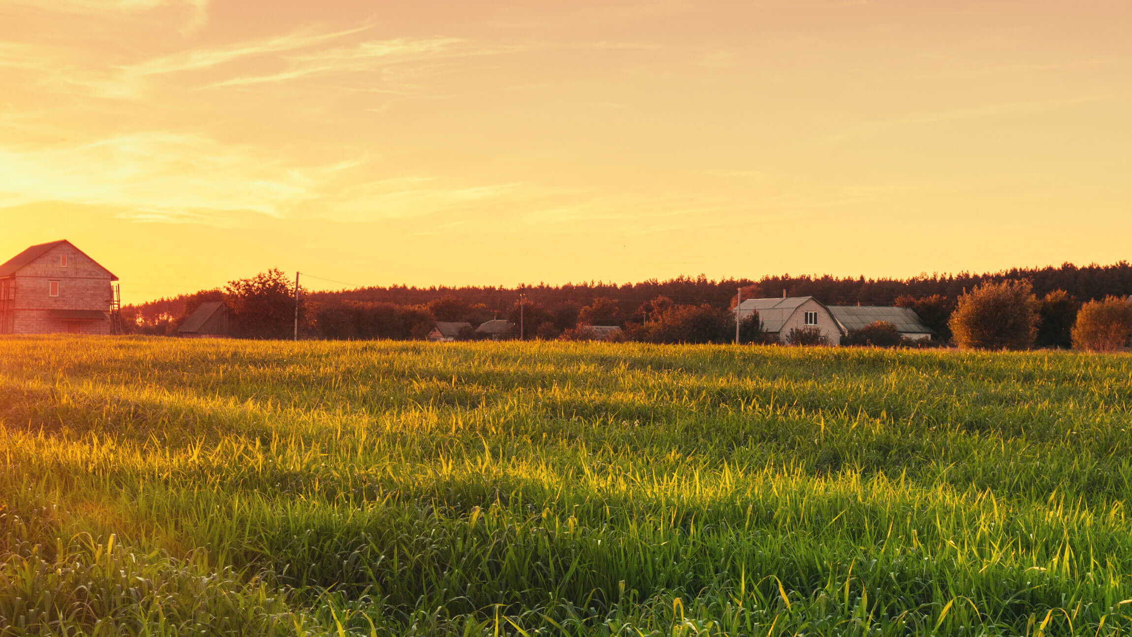 Farm buildings beyond a green field under a golden evening sky