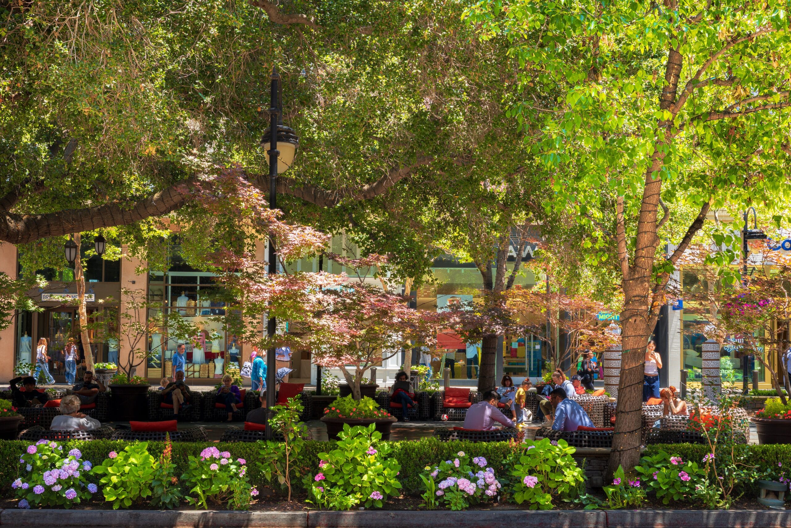 Visitors sit beneath leafy trees beside shops at Santana Row