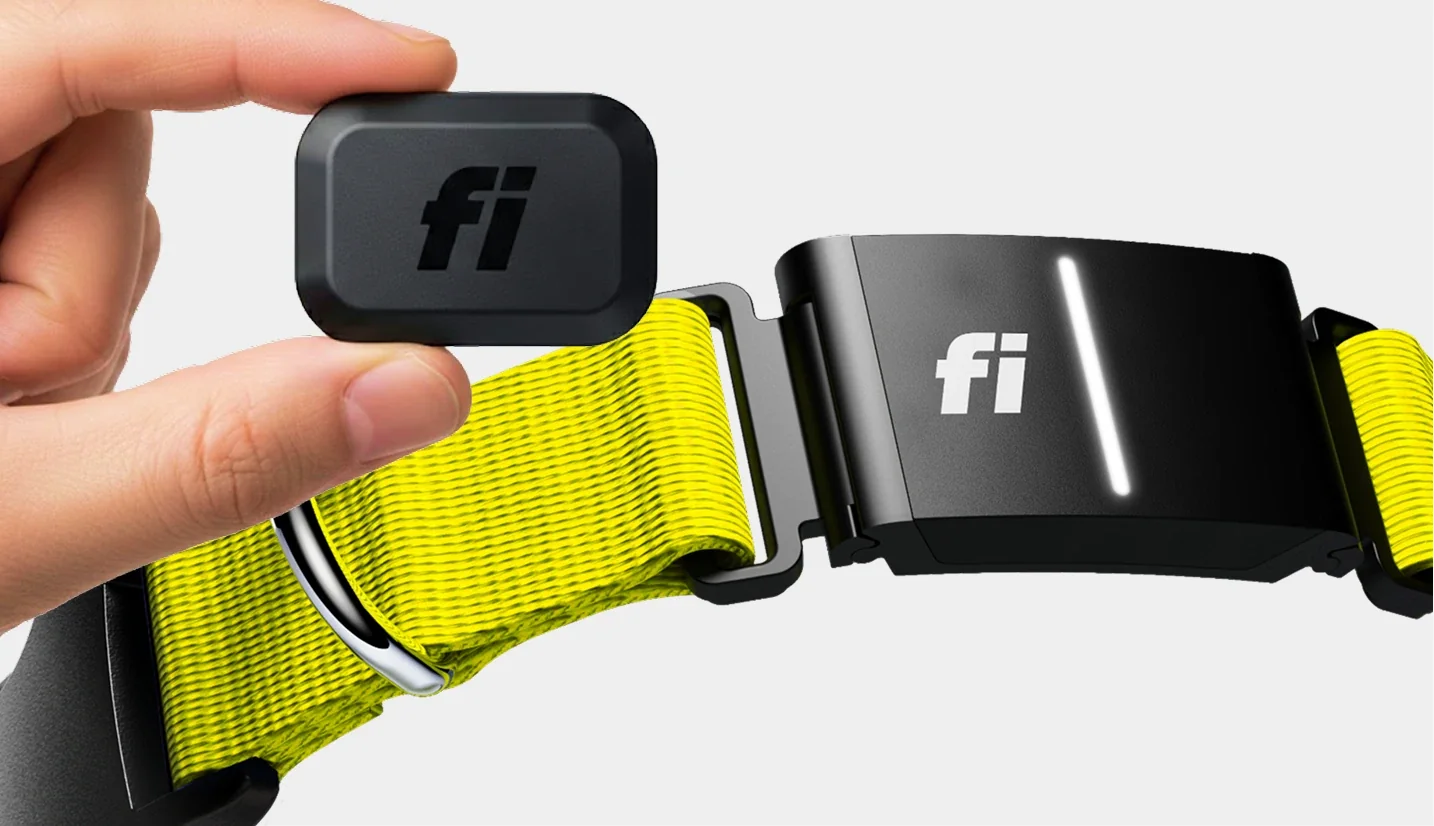 A hand holding a Fi Mini beside a yellow Fi Series 3+ collar