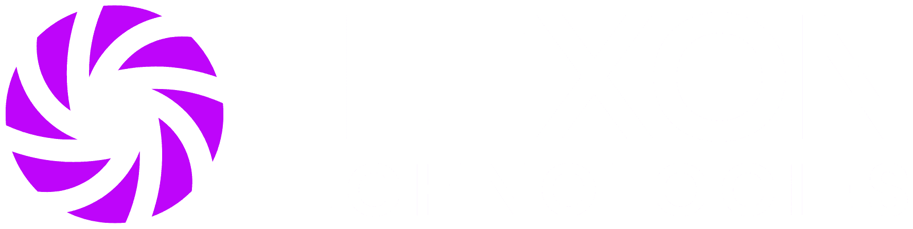 Flexon Technologies Talent360.ai logo