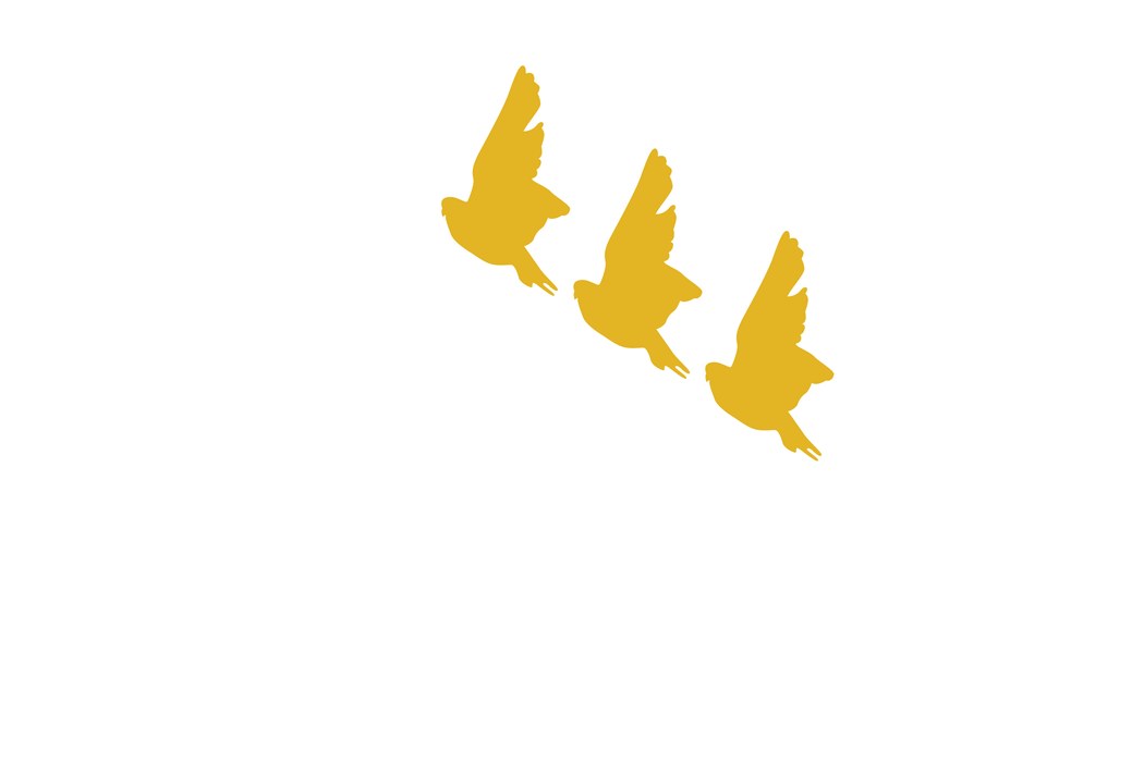 Flock and Rally: Integrated Communications & Marketing