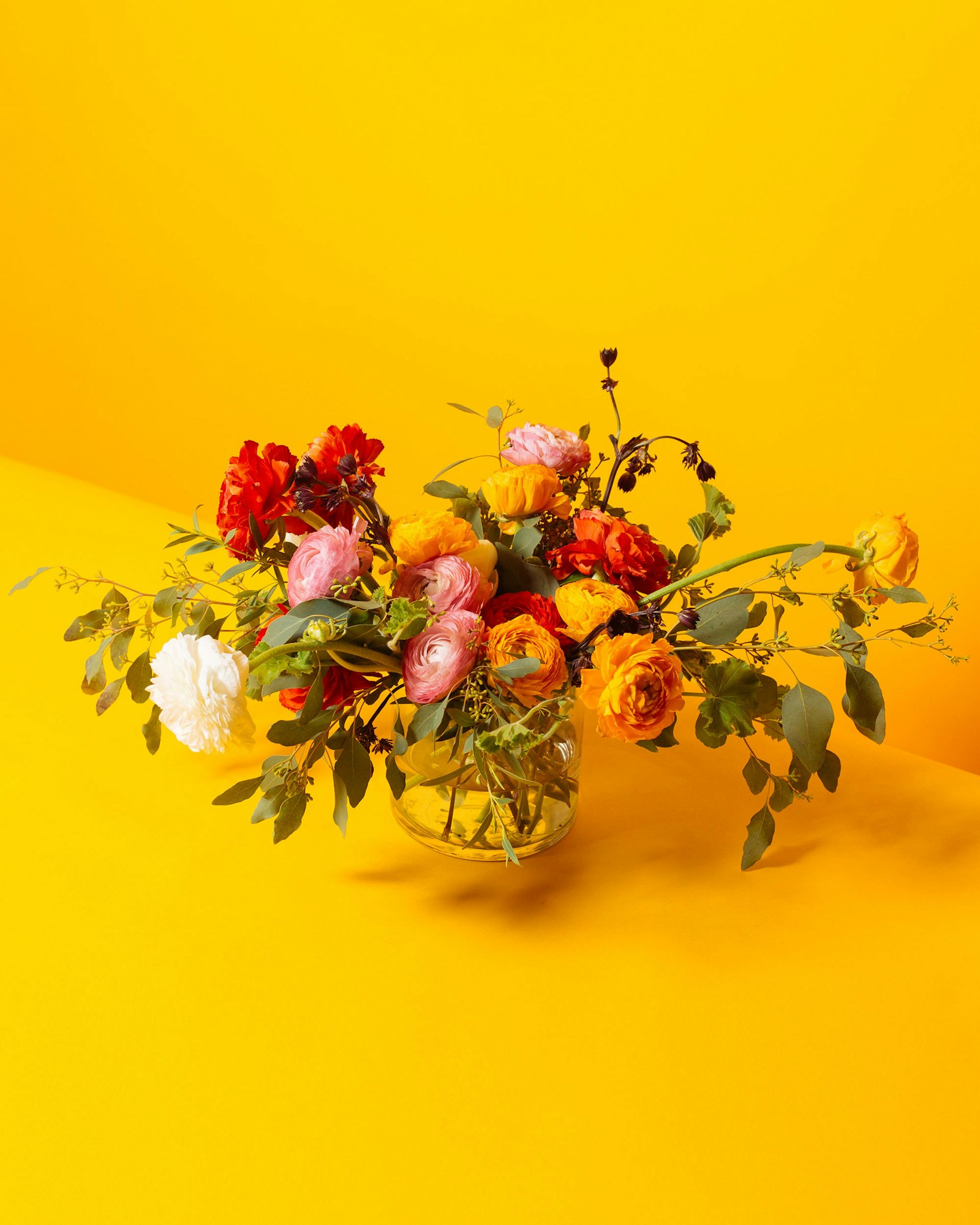 A vivid Floom bouquet of ranunculus and trailing greenery against a yellow background