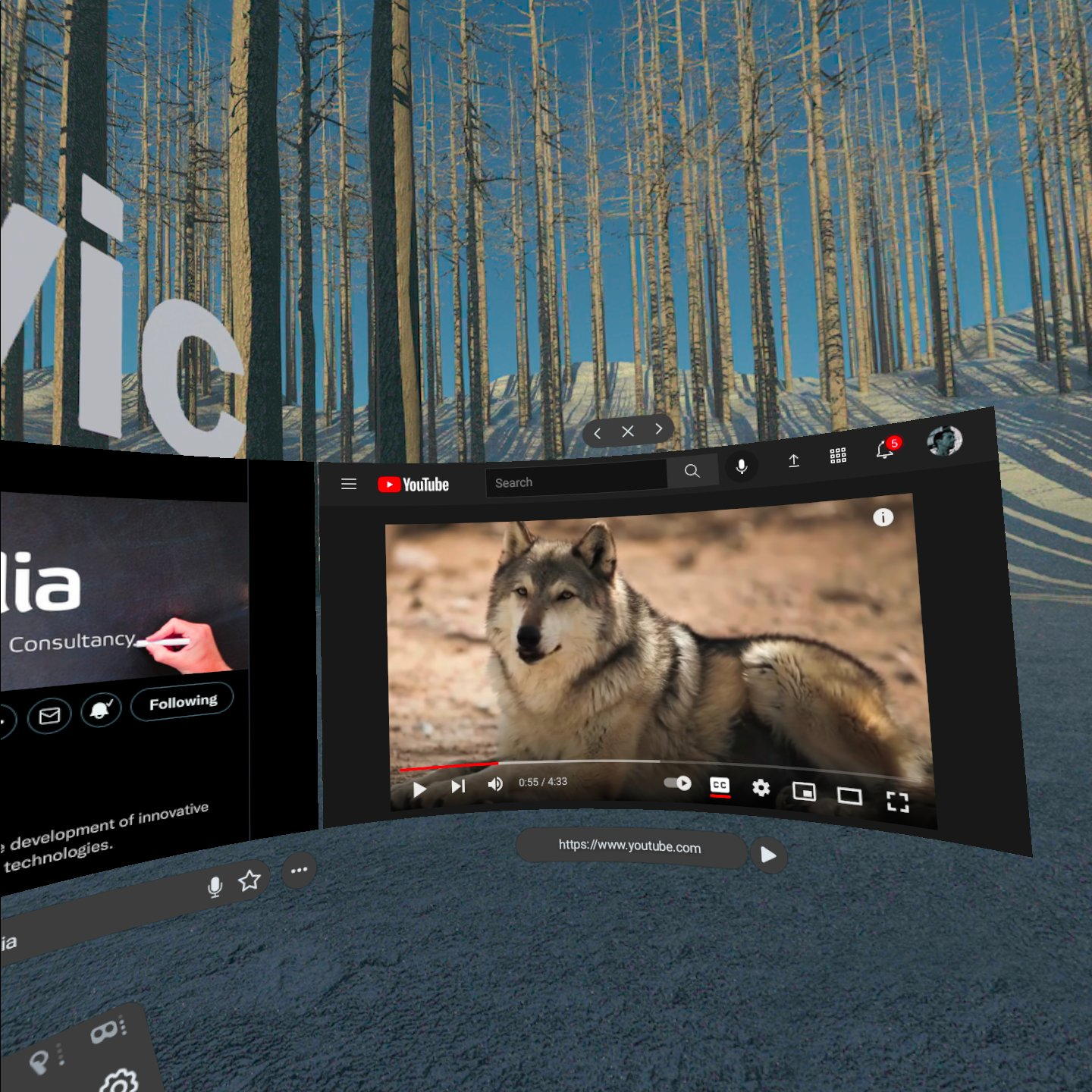 Wolvic browser windows in a virtual forest, with an Igalia page and a YouTube wolf video