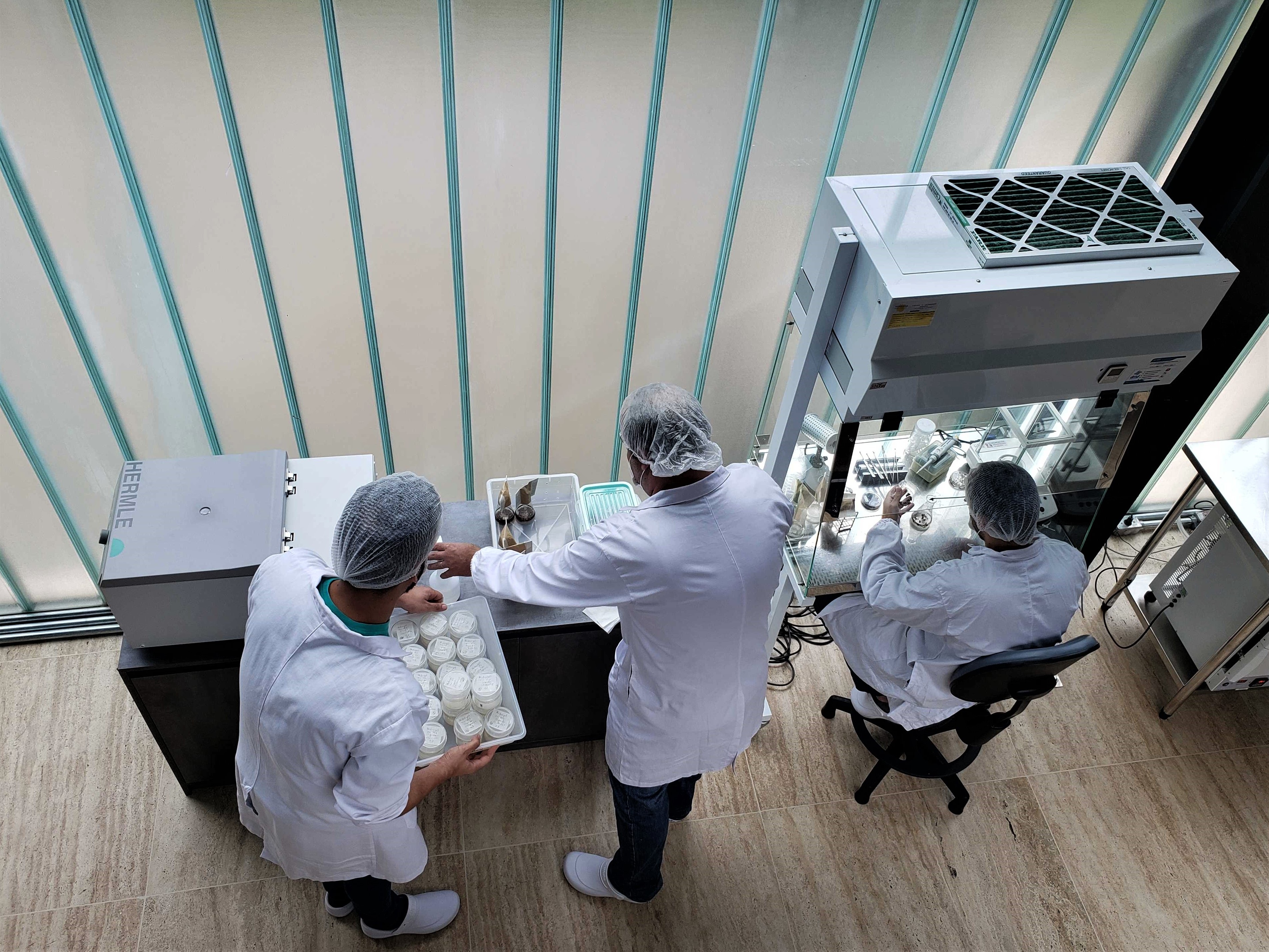 Researchers working with laboratory equipment at GALY