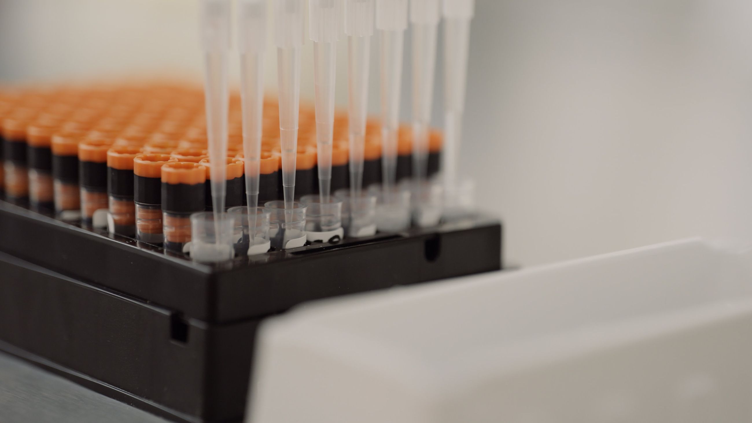 Pipette tips above orange-capped tubes during Fertilo laboratory filling