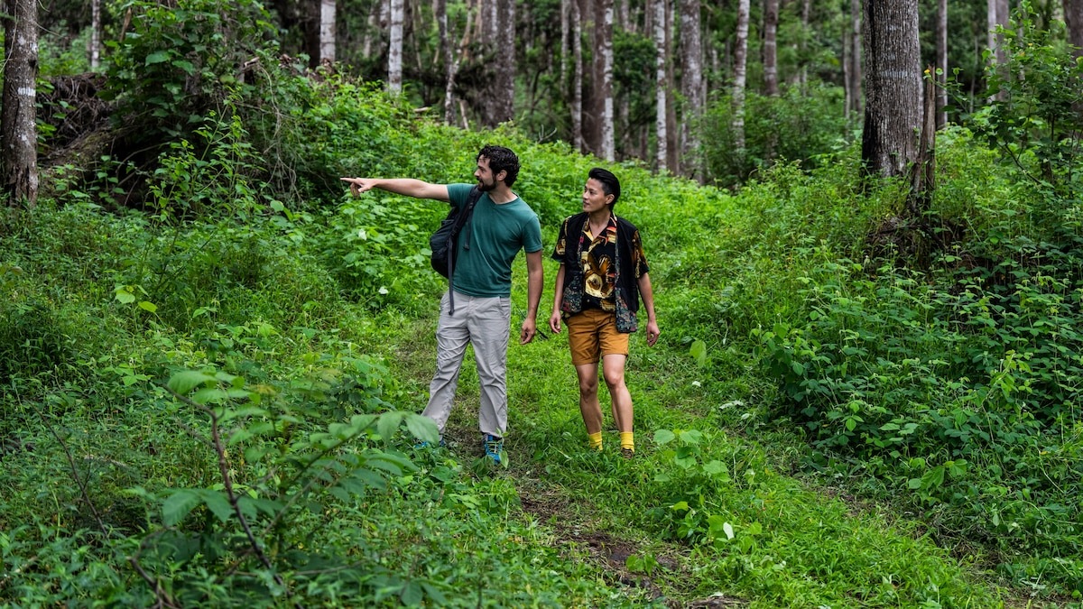 Andrés Ruzo points into a Hawaiian forest while chef Melissa King walks beside him in Tasting Wild.