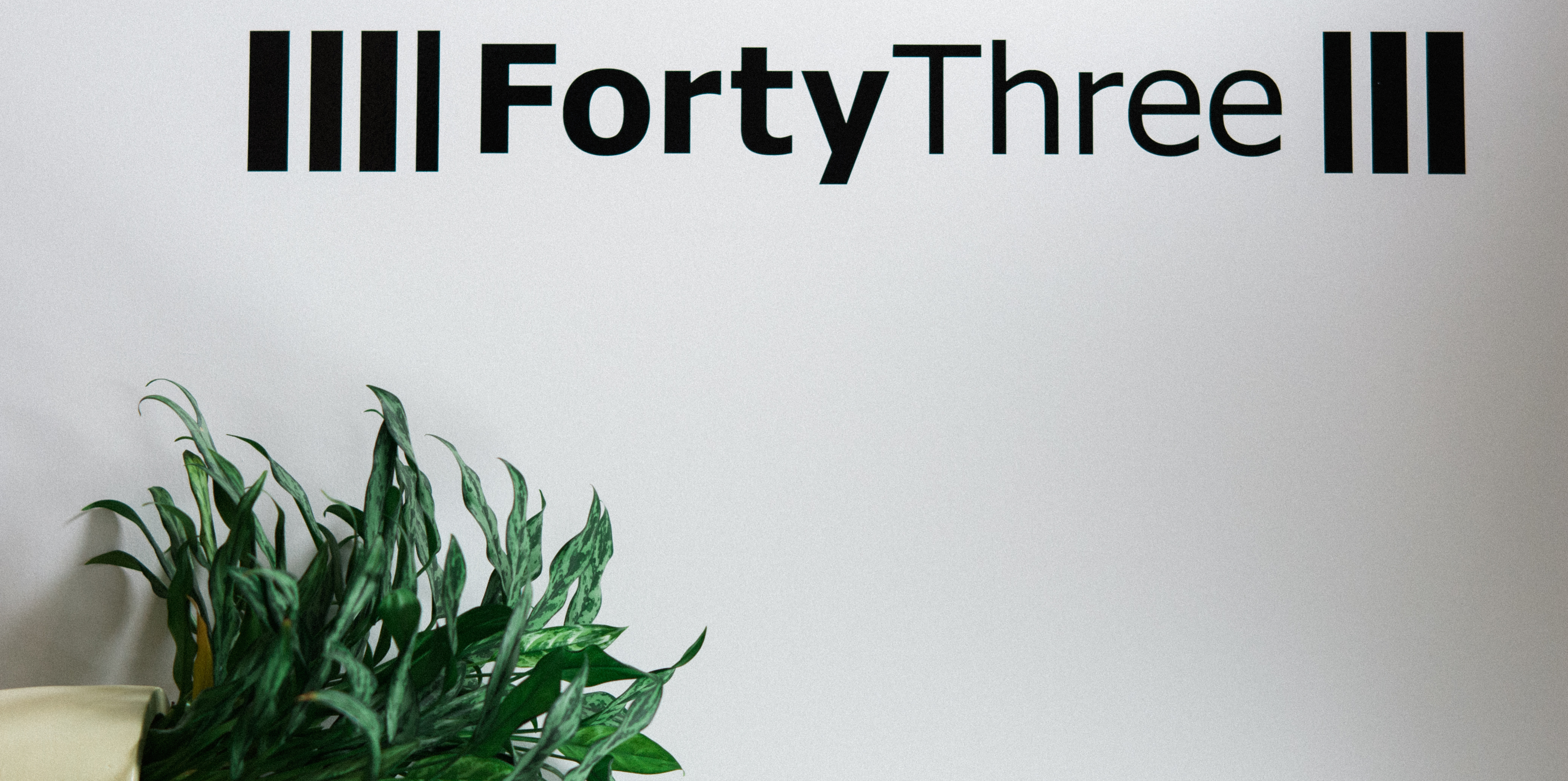 FortyThree office wall with the agency name above a green plant